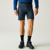 2026 Akcia Regatta nová kolekcia: Pánske trekingové šortky Xert Stretch Shorts RMJ365 night sky XL 2026 Akcia Regatta nová kolekcia: Pánske trekingové šortky Xert Stretch Shorts RMJ365 night sky XL