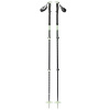 Skialpové palice Black Diamond EXPEDITION 3 SKI POLES Desert Sage Skialpové palice Black Diamond EXPEDITION 3 SKI POLES Desert Sage