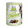 Brit Care Cat Snack Superfruits Chicken 100g Brit Care Cat Snack Superfruits Chicken 100g