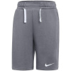 Šedé detské šortky Nike Park 26 Fleece IB1242 063 XS Šedé detské šortky Nike Park 26 Fleece IB1242 063 XS