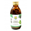 Salvia Paradise Moringa olejodarná 120 kapsúl Salvia Paradise Moringa olejodarná 120 kapsúl