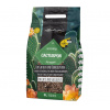 Lechuza Cactus Pon 6 ltr. Lechuza Cactus Pon 6 ltr.