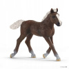 Schleich 13899 Schwarzwaldské hříbě Schleich 13899 Schwarzwaldské hříbě