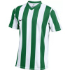 Tričko Nike Dri-Fit Stripped Division V M FZ9337-103 Tričko Nike Dri-Fit Stripped Division V M FZ9337-103