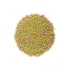 Zdravý den Zmes semien na klíčenie BIO alfalfa reďkovka mungo 200 g Zdravý den Zmes semien na klíčenie BIO alfalfa reďkovka mungo 200 g