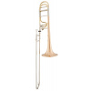 ARNOLDS & SONS ASL-432G Terra ARNOLDS & SONS ASL-432G Terra
