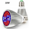 Osvetlenie pre rastliny - Lampa na pestovanie rastlín rastú svetlo 30W E27 (Osvetlenie pre rastliny - Lampa na pestovanie rastlín rastú svetlo 30W E27) Osvetlenie pre rastliny - Lampa na pestovanie rastlín rastú svetlo 30W E27 (Osvetlenie pre rastliny - Lampa na pestovanie rastlín rastú svetlo 30W E27)