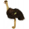 PLYŠ Pták Pštros Emu 28cm Eco-Friendly *PLYŠOVÉ HRAČKY* PLYŠ Pták Pštros Emu 28cm Eco-Friendly *PLYŠOVÉ HRAČKY*