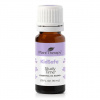 Plant Therapy KidSafe Study Time Čas na štúdiumu esenciálny olej 10 ml Plant Therapy KidSafe Study Time Čas na štúdiumu esenciálny olej 10 ml