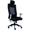 Alba Ergonomická stolička LEXA Alba Ergonomická stolička LEXA
