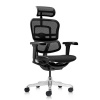 antares antares Ergohuman 2 Ultra - ergonomická kancelárska stolička, prevedenie látkový sedák, prevedenie látkový sedák, Hmotnosť 23 kg, Farba látky čierna antares antares Ergohuman 2 Ultra - ergonomická kancelárska stolička, prevedenie látkový sedák, prevedenie látkový sedák, Hmotnosť 23 kg, Farba látky čierna