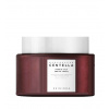 SKIN1004 Madagascar Centella Probio-Cica Enrich Cream intenzivně regenerační krém s probiotiky 50 ml SKIN1004 Madagascar Centella Probio-Cica Enrich Cream intenzivně regenerační krém s probiotiky 50 ml