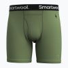 Pánske termo boxerky Smartwool Merino Boxer Brief Boxed fern green Pánske termo boxerky Smartwool Merino Boxer Brief Boxed fern green