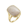Pozlátený prsteň obdĺžnik s pravým fosílnym koralom 15026.3 54 Pozlátený prsteň obdĺžnik s pravým fosílnym koralom 15026.3 54