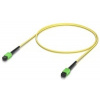 UBNT UACC-OFC-SA-MPMP-1M - optický patch cord MPO-12 Type B APC, Single-mode SMG657A2, 1m UBNT UACC-OFC-SA-MPMP-1M - optický patch cord MPO-12 Type B APC, Single-mode SMG657A2, 1m
