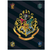 Deka Harry Potter 100 x 140 cm Deka Harry Potter 100 x 140 cm