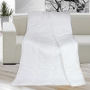 Bellatex Kamilka Thermo zimná 1 680 g biela 140x200 Bellatex Kamilka Thermo zimná 1 680 g biela 140x200