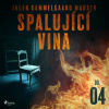 Spalující vina - 4. díl Spalující vina - 4. díl