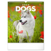 NOTIQUE Nástenný kalendár Psy 2026, 30 x 34 cm NOTIQUE Nástenný kalendár Psy 2026, 30 x 34 cm