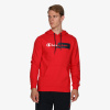 CHAMPION CLASSIC LABEL HOODY S CHAMPION CLASSIC LABEL HOODY S