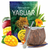Štartovací set Yerba Mate Yaguar Mango Tango s tekvicou a bombillou Štartovací set Yerba Mate Yaguar Mango Tango s tekvicou a bombillou