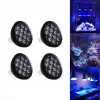 Osvetlenie pre rastliny - Žiarovka pre rast rastu Aquarium LED 12W 4 PC (Osvetlenie pre rastliny - Žiarovka pre rast rastu Aquarium LED 12W 4 PC) Osvetlenie pre rastliny - Žiarovka pre rast rastu Aquarium LED 12W 4 PC (Osvetlenie pre rastliny - Žiarovka pre rast rastu Aquarium LED 12W 4 PC)