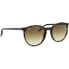 Ray-Ban RB2204 902/51 Ray-Ban RB2204 902/51
