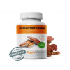 MycoMedica Reishi triterpen 90 kapsúl MycoMedica Reishi triterpen 90 kapsúl