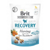 Brit snack Recovery herring & sea buckthorn 150 g Brit snack Recovery herring & sea buckthorn 150 g