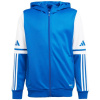 adidas Squadra 25 Hoodie Jr JD4802 adidas Squadra 25 Hoodie Jr JD4802