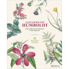Alexander von Humboldt Botanical Illustrations Alexander von Humboldt Botanical Illustrations