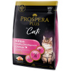 Krmivo Prospera Plus Kitten Chicken Healthy Development 2kg Krmivo Prospera Plus Kitten Chicken Healthy Development 2kg
