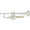 ARNOLDS & SONS ATR-5200GS Terra ARNOLDS & SONS ATR-5200GS Terra