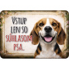 Pozor pes – Vstup len so súhlasom psa | Beagle tabuľka Tabuľka „Vstup len so súhlasom psa“ – beagle Pozor pes – Vstup len so súhlasom psa | Beagle tabuľka Tabuľka „Vstup len so súhlasom psa“ – beagle