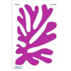 Colour Unbound: Henri Matisse 1941–1954 Colour Unbound: Henri Matisse 1941–1954