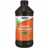 Now Foods Chlorophyll Liquid Mint 473 ml tekutý Now Foods Chlorophyll Liquid Mint 473 ml tekutý