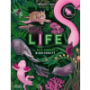 Life Life
