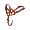 Halti Ohlávka nylon oranžová vel. 4 rotvajler, doga COA Halti Ohlávka nylon oranžová vel. 4 rotvajler, doga COA