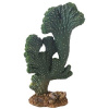 HOBBY Kaktus Victoria 22cm HOBBY Kaktus Victoria 22cm