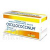 Laboratoires BOIRON OSCILLOCOCCINUM pil dds (tuba PP) 30x1 g Laboratoires BOIRON OSCILLOCOCCINUM pil dds (tuba PP) 30x1 g