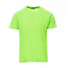 PAYPER RUNNER 000463-0028 / Pánske športové tričko - fluorescent green XXXL PAYPER RUNNER 000463-0028 / Pánske športové tričko - fluorescent green XXXL