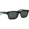 Ray-Ban Warren RB4396 667787 Ray-Ban Warren RB4396 667787