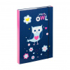 Dosky na školské zošity A4 Sovičky Dosky na školské zošity A4 Sovičky