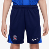 Nike PSG Youth Dri-FIT Strike XL Nike PSG Youth Dri-FIT Strike XL