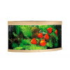 Juwel Trigon LED 350 akvárium set rohový dub 123x87x65 cm, 350 l Juwel Trigon LED 350 akvárium set rohový dub 123x87x65 cm, 350 l