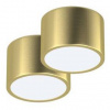 LED stropné svietidlo IMMAX NEO sada 2x RONDATE SMART 15cm 12W Zigbee 3.0 + DO (07127L-BD) zlaté LED stropné svietidlo IMMAX NEO sada 2x RONDATE SMART 15cm 12W Zigbee 3.0 + DO (07127L-BD) zlaté