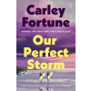 Our Perfect Storm Our Perfect Storm