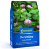 Zelené hnojenie - perzská ďatelina - semená - 400 g Zelené hnojenie - perzská ďatelina - semená - 400 g