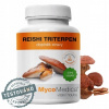 MycoMedica Reishi triterpen 90 kapsúl MycoMedica Reishi triterpen 90 kapsúl