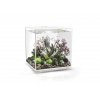 biOrb akvárium CUBE 60 LED priehľadne biOrb akvárium CUBE 60 LED priehľadne